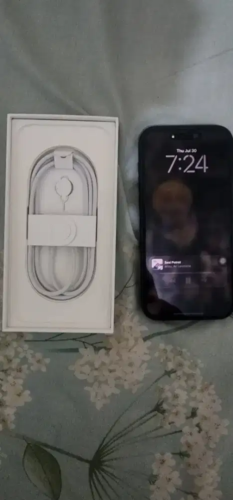 Iphone 16 promax 256 gb