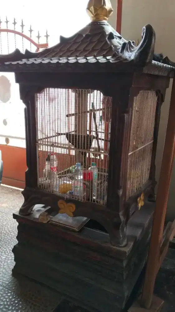 Kandang besi coran