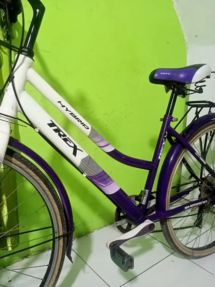 t-rex hybrid r26 mulus