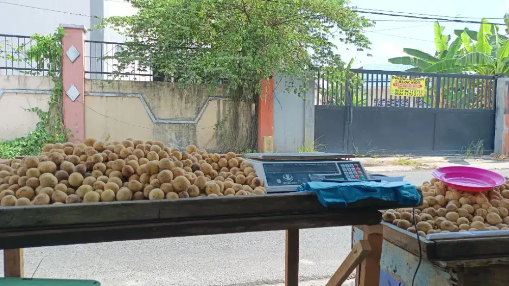 Buah duku pontianak manis