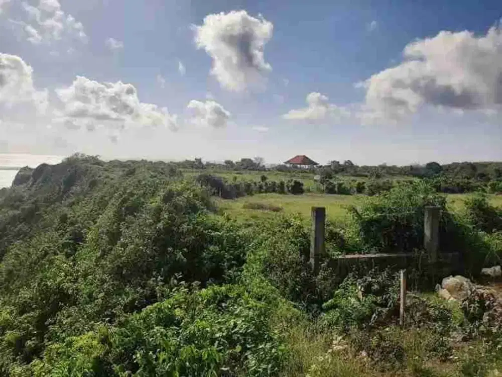 DIJUAL TANAH LOS TEBING, PANTAI NYANG NYANG, ULUWATU,KUTA SELATN - Thumbnail 8