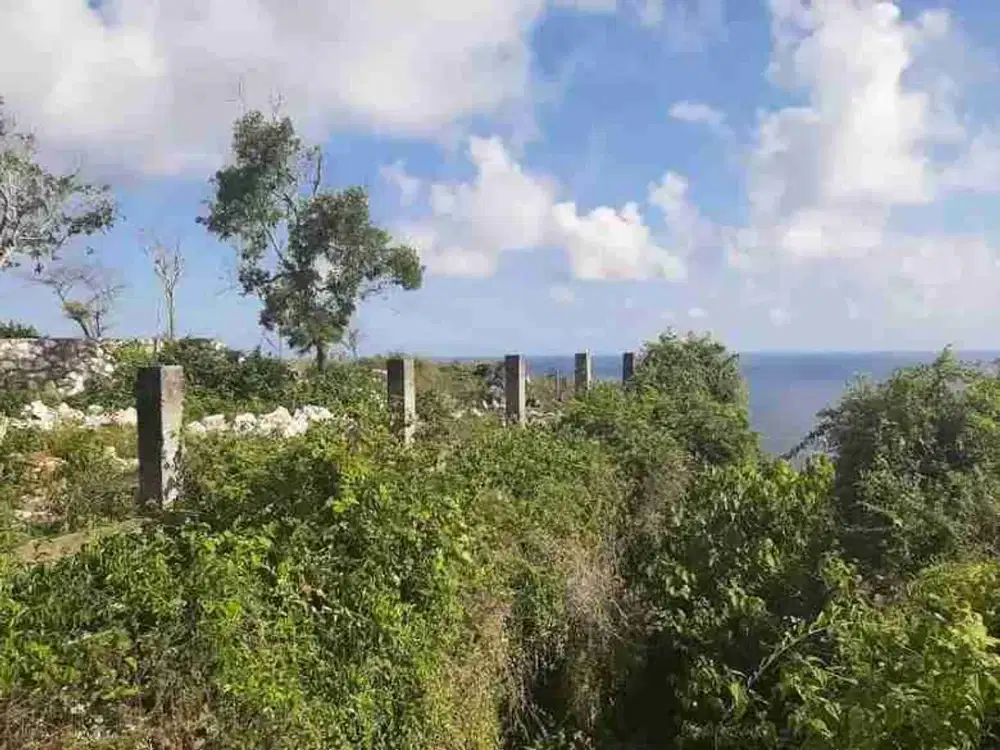 DIJUAL TANAH LOS TEBING, PANTAI NYANG NYANG, ULUWATU,KUTA SELATN - Thumbnail 7