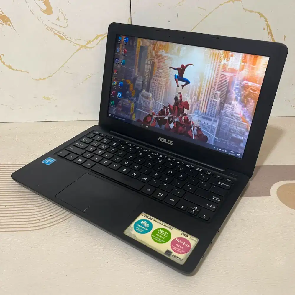 Notebook Asus E202SA