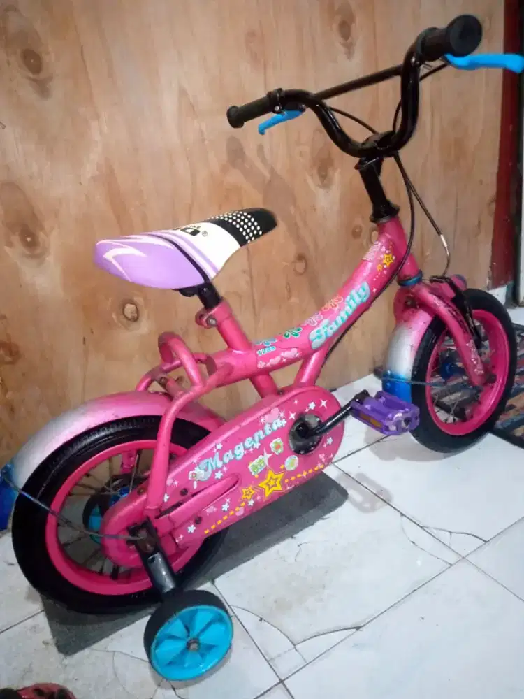 Sepeda anak merk family.kokoh kuat.siap pakaidi Jagakarsa Jaksel