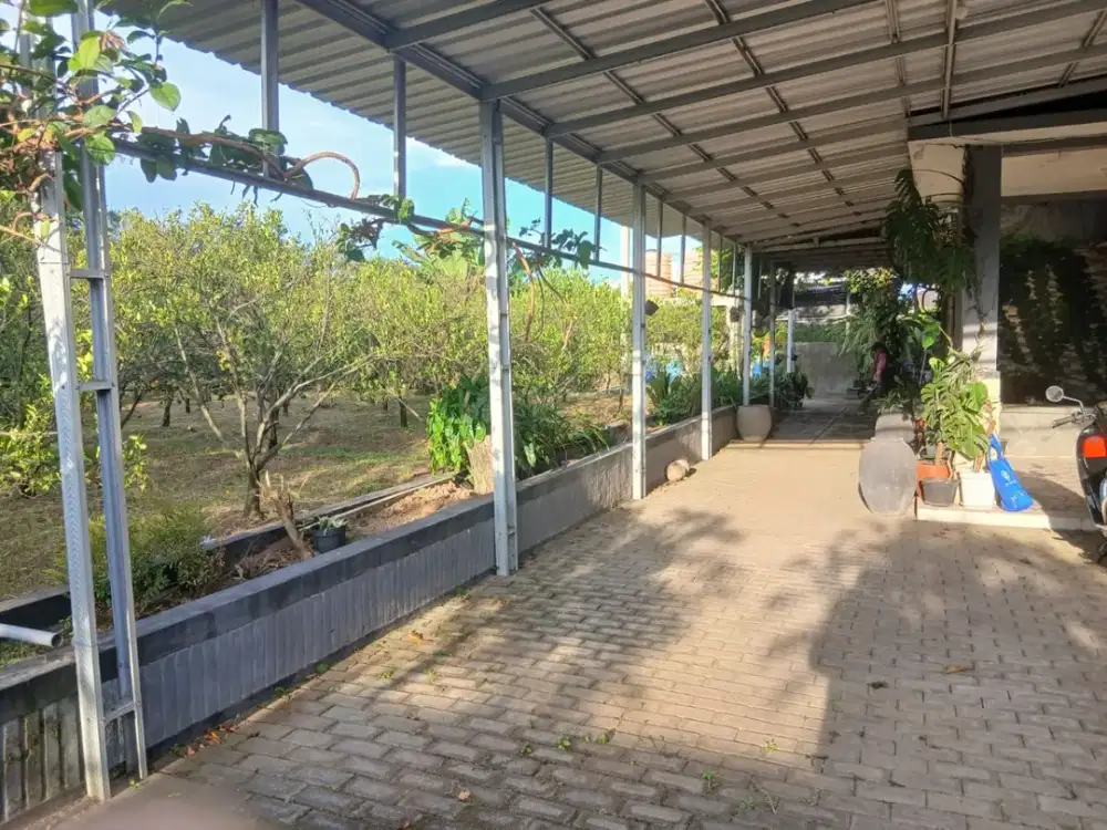 DIJUAL TANAH 1.954 m² DI JOYO AGUNG MALANG DEKAT KAMPUS – COCOK KOST & KOMERSIAL