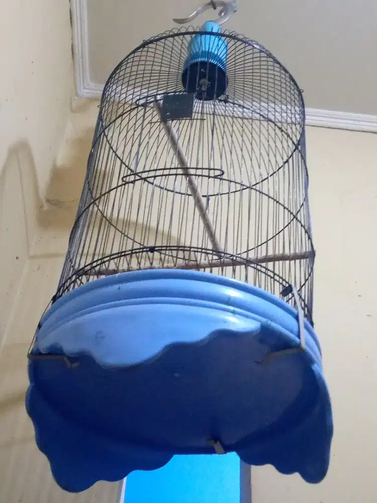 kandang burung lovebird
