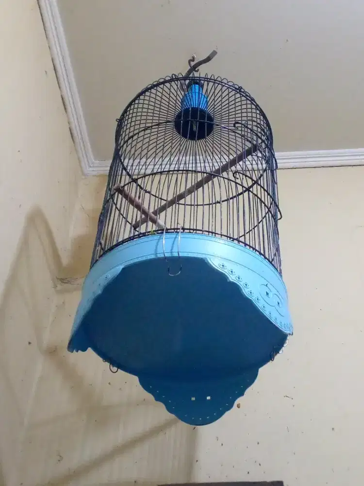 kandang bulat kenari