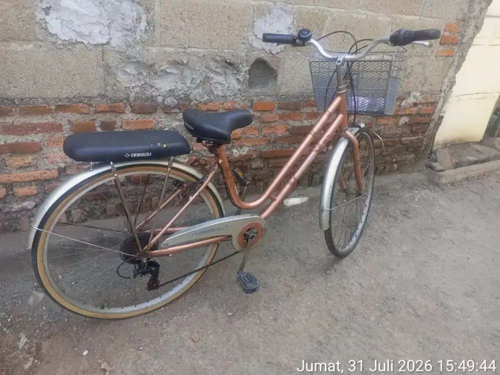 Sepeda mini oddesy