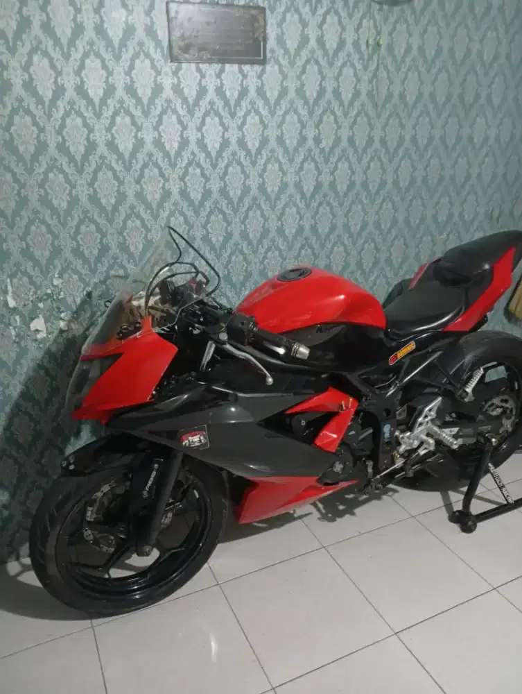 ninja 250 mono rr