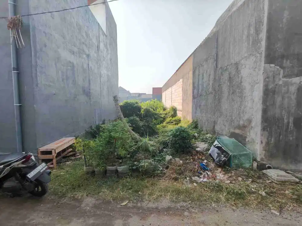 Tanah Murah Lokasi Ketapang Wage Taman Sidoarjo