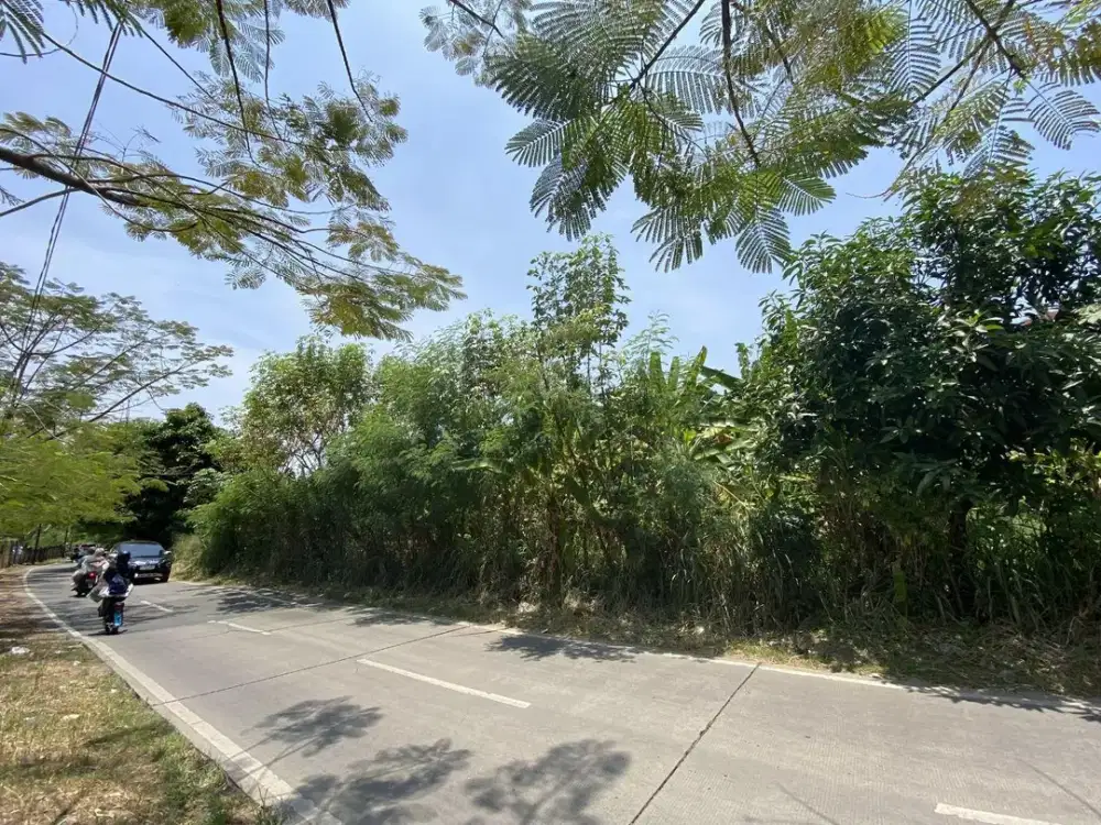 Dijual Kavling 240M² Lokasi Strategis Dekat Akses Stasiun Jurang Mangu di Ciputat Tangsel Rn 18416