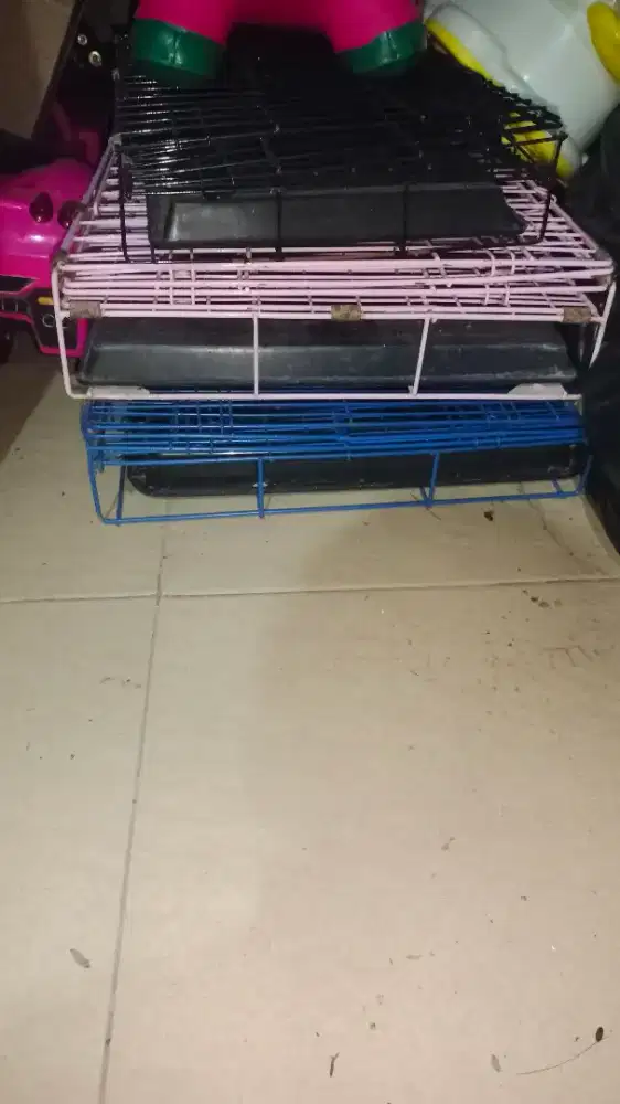 Dijual borongan kandang dan kucingnya