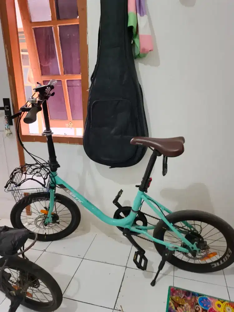Sepeda Minion Exotic