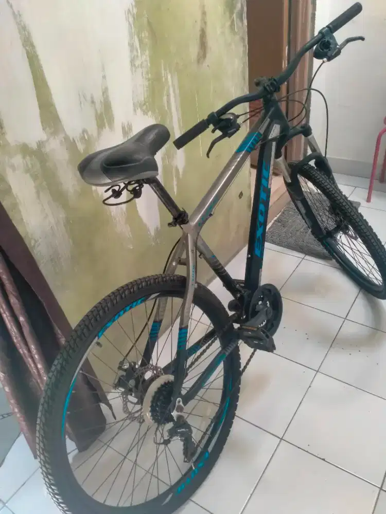 Sepeda dewasa mtb