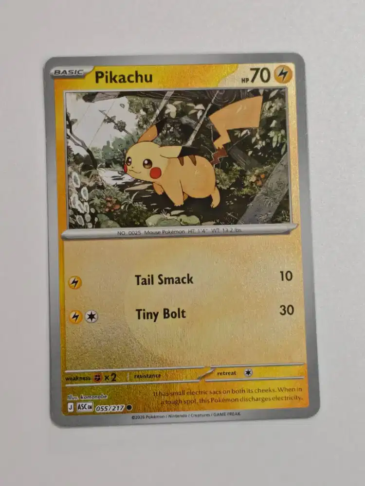 Kartu Pokemon Holo Energy English