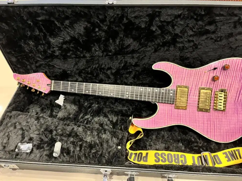 Guitar Dhatarattha Custom DST HH Flame Purple