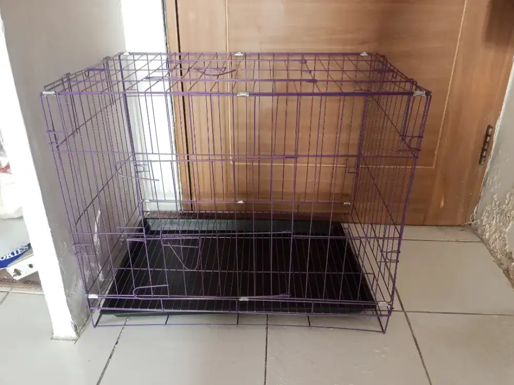 kandang anjig /kucig