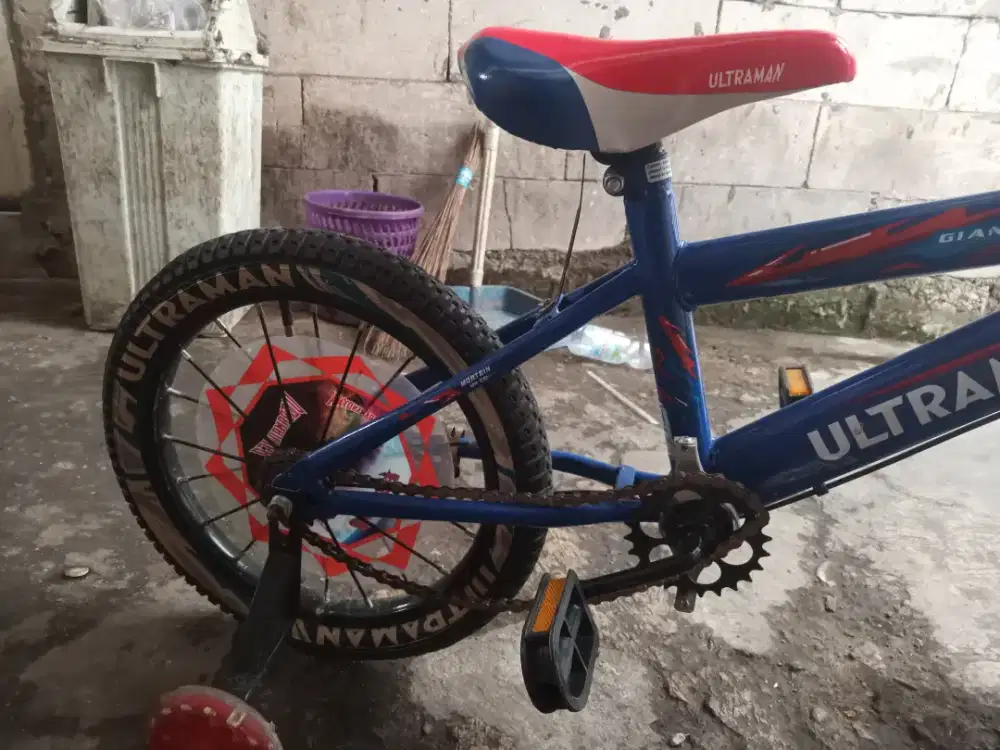 dijual sepeda anak roda 2