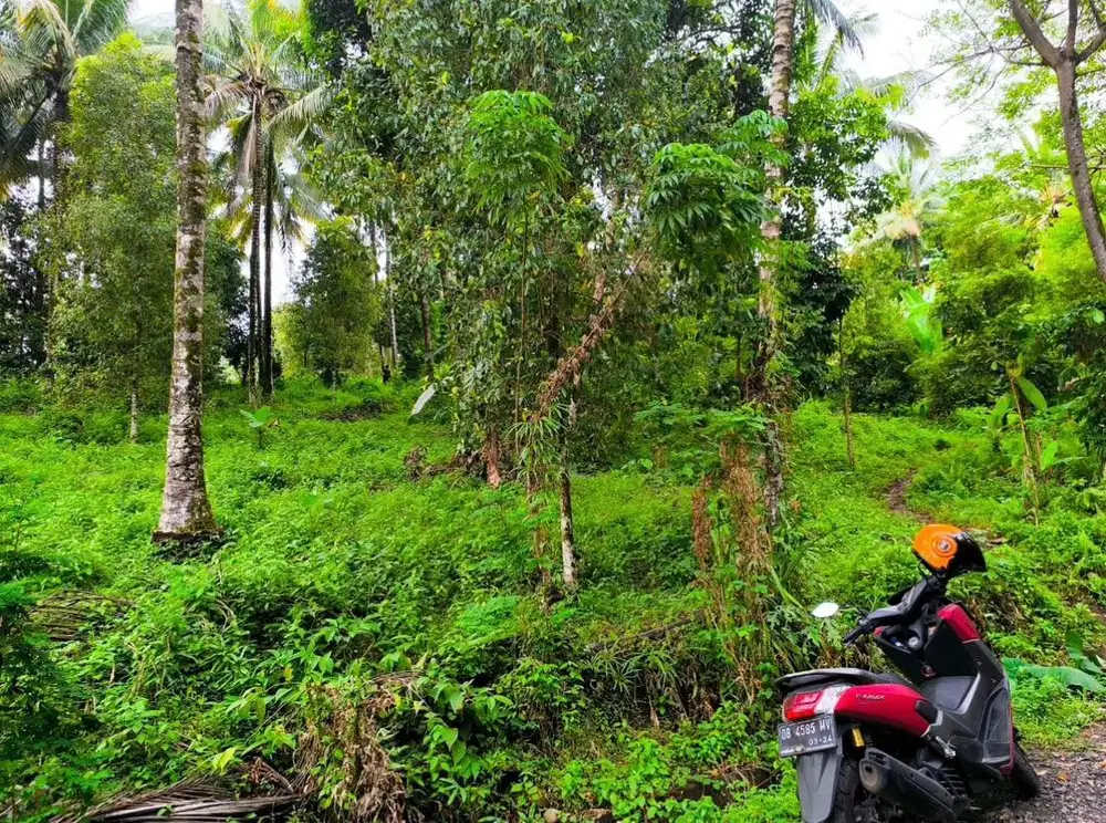 Dijual tanah sudah SHM
