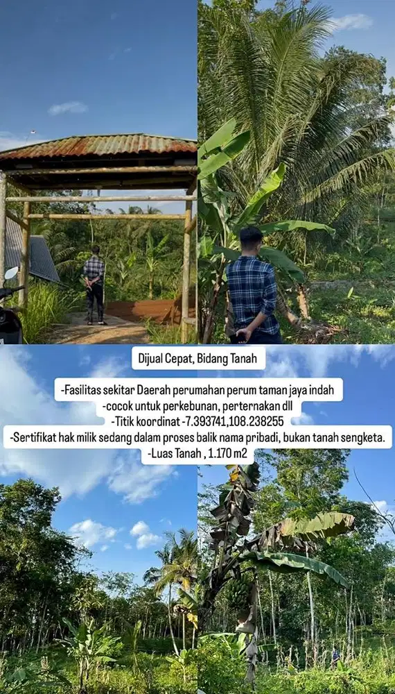 Dijual Cepat, Bidang Tanah