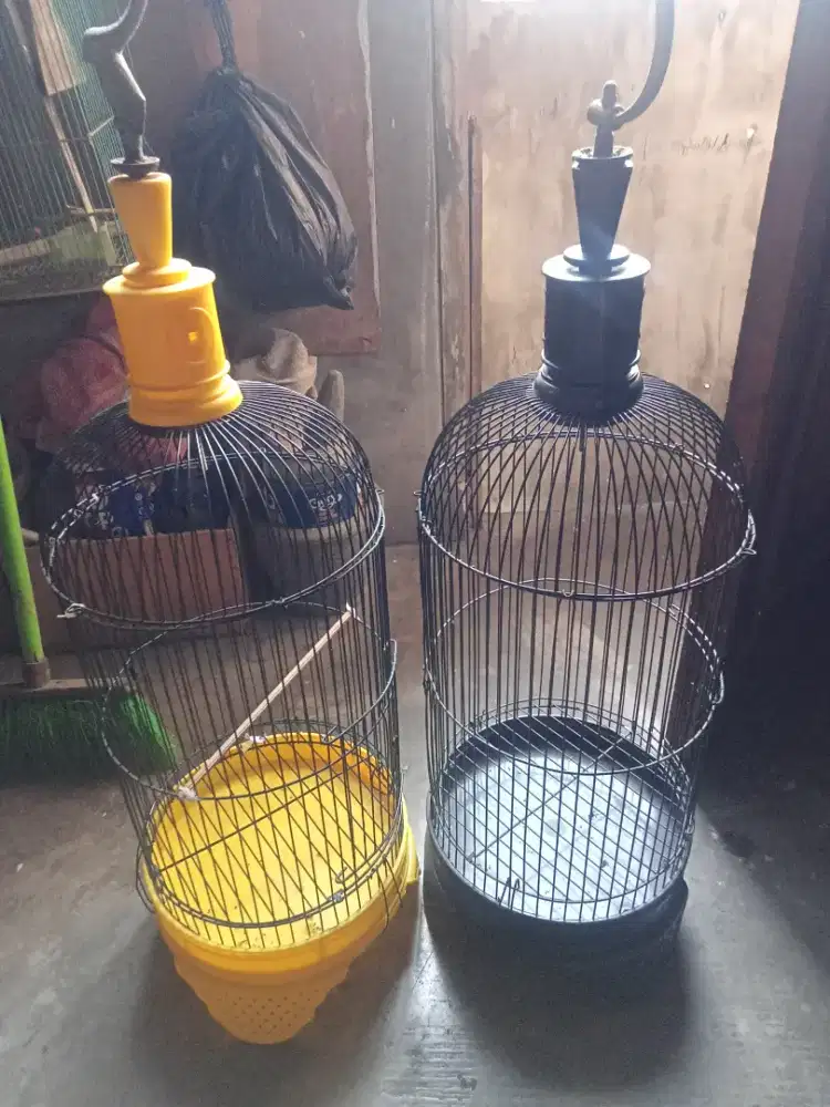 Kandang burung konin Dan pleci