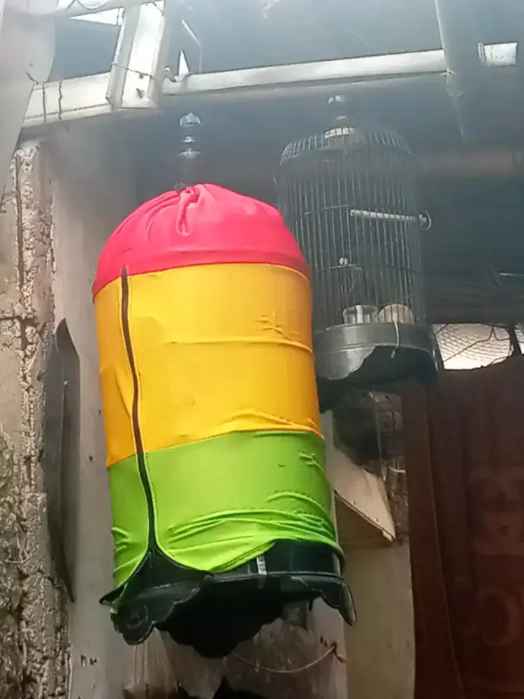kandang burung kapsul Lovebird,kenari & kandang bucil