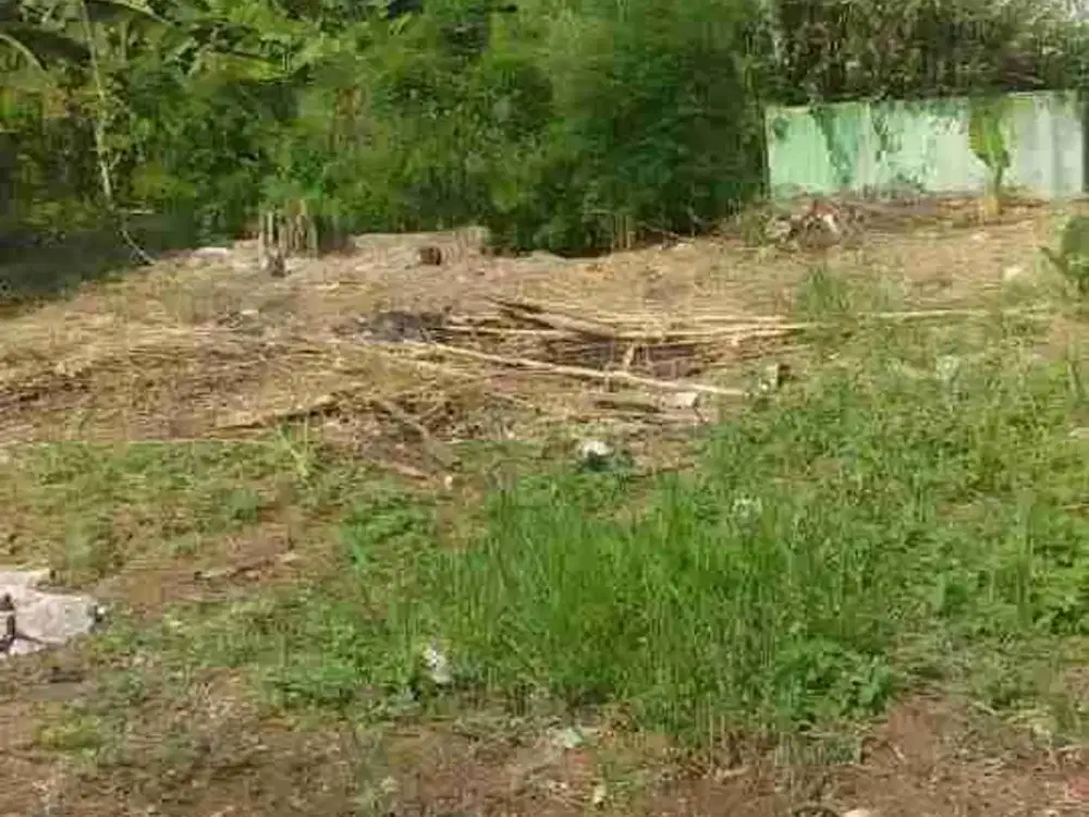 jual tanah kavling harga murah