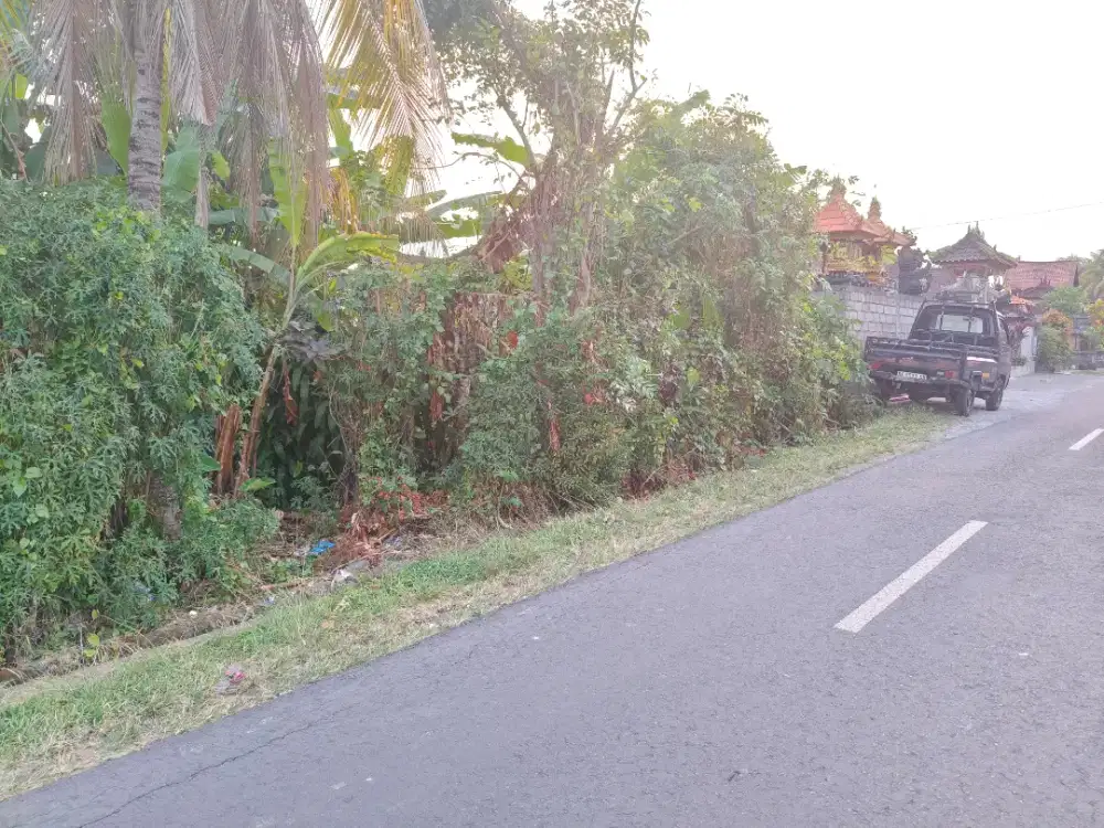 Jual Tanah lokasi Mengening Nyitdah