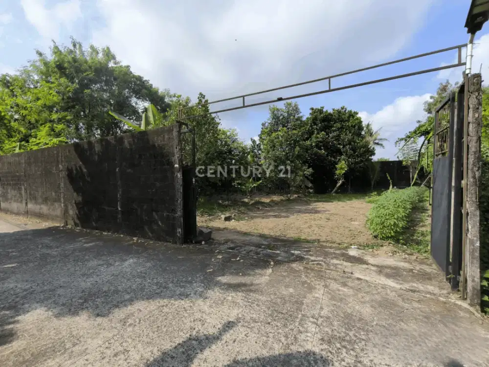 CR Tanah Pekarangan 490m2 Di Jalan Palagan Cocok Untuk Hunian