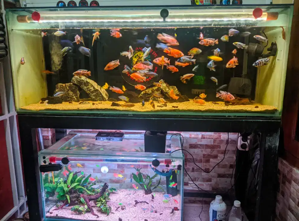 Aquarium 120x45x45