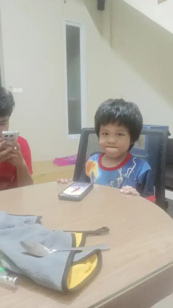 Dibutuhkan ART tinggal dalam