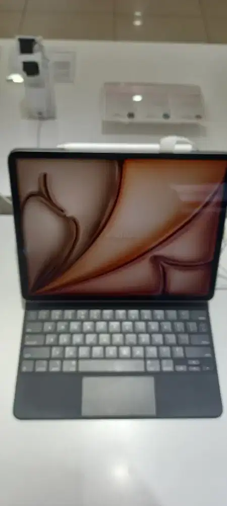 iPad Air Wifi Only