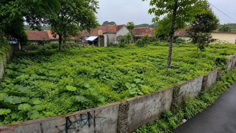 Dijual Tanah SHM 948 m² - Dekat Kantor Desa Kasomalang Kulon Subang