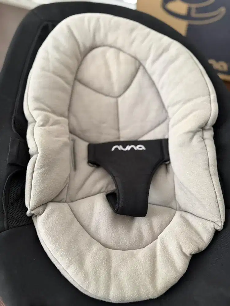 Bouncer nuna leaf curv