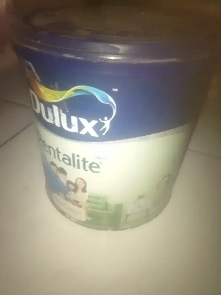 Cat  Dulux warna biru
