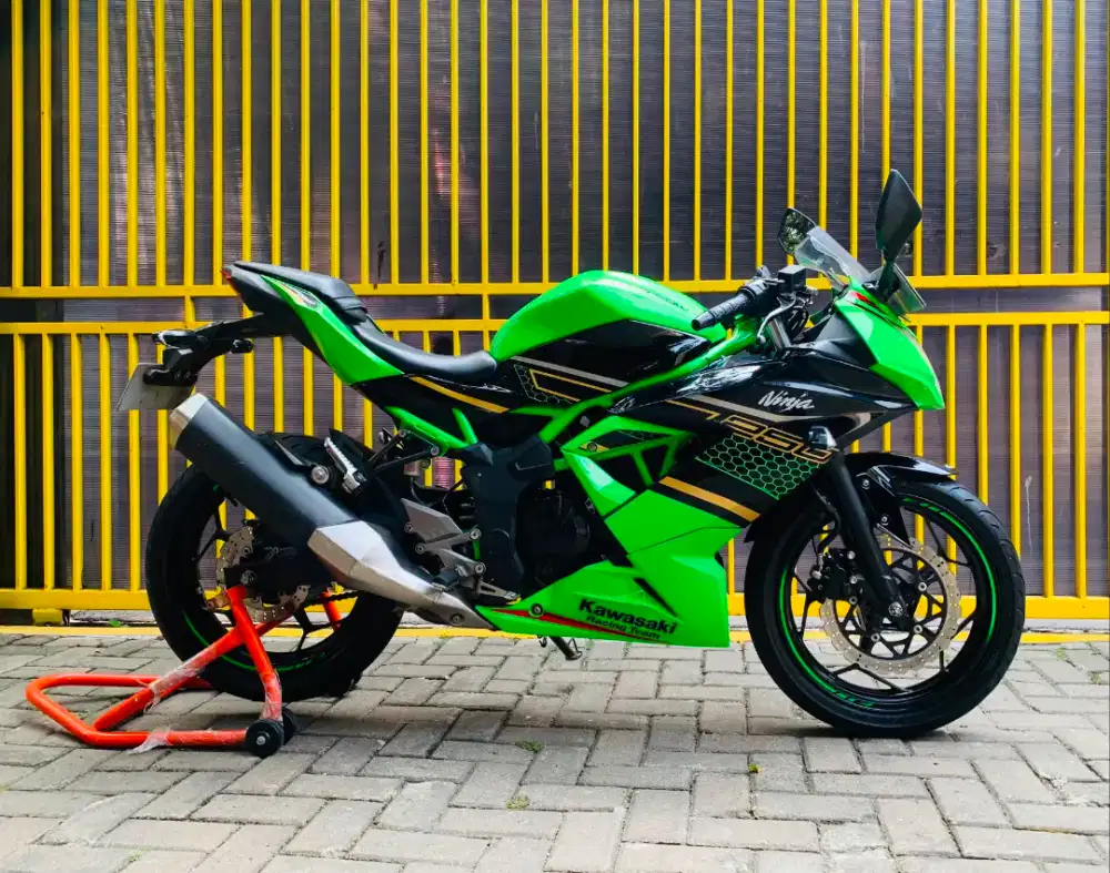 Kawasaki ninja 250 sl mono