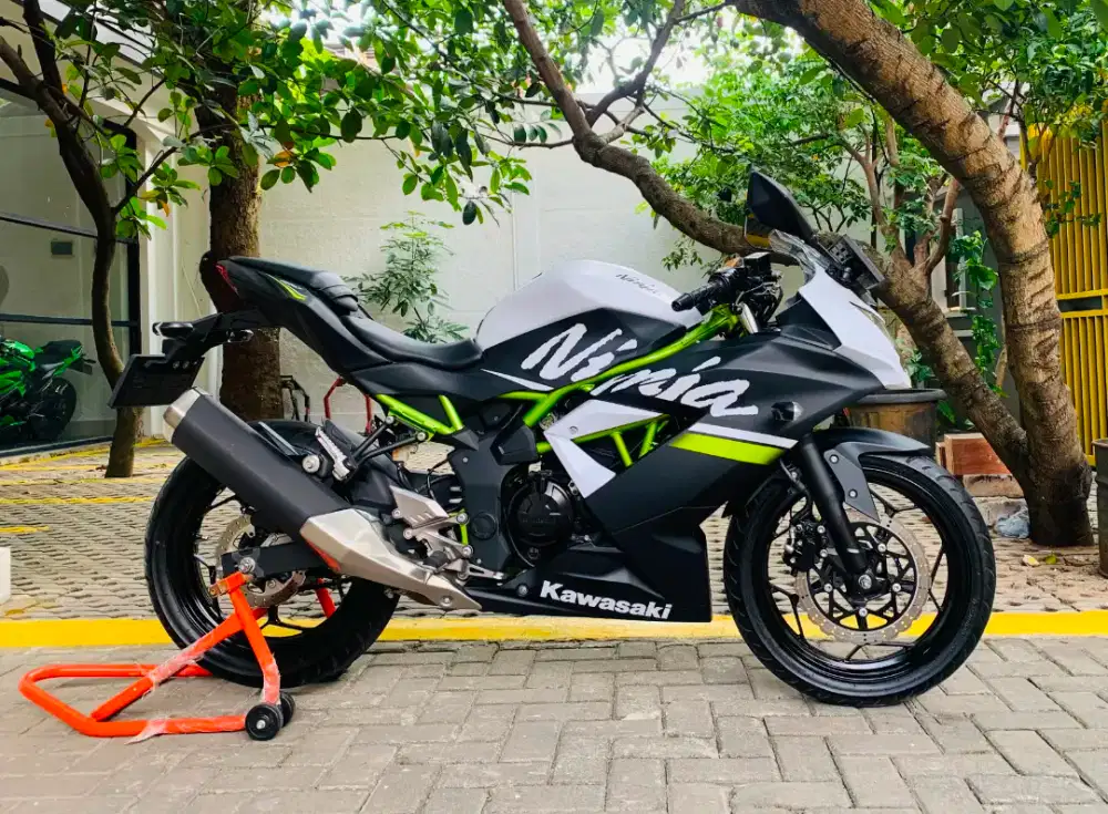 Kawasaki ninja 250 sl mono 2020