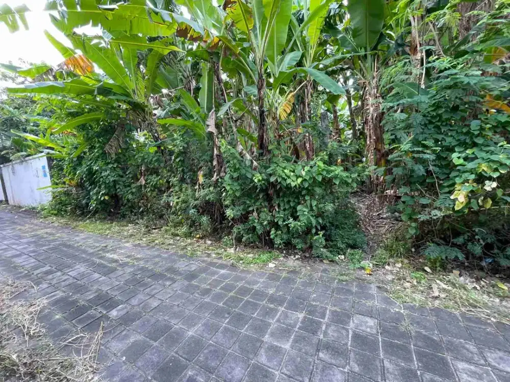 Tanah Premium Di Batu Belig Kerobokan Dekat Ke Pantai Cafe Del Mar Petitenget Umalas
