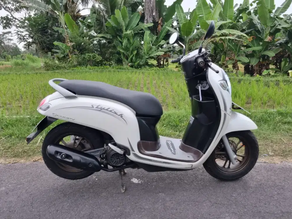 SCOOPY STYLISH 2020