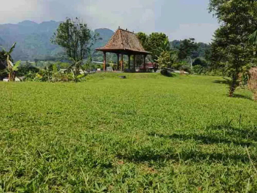 tanah murah bojong koneng