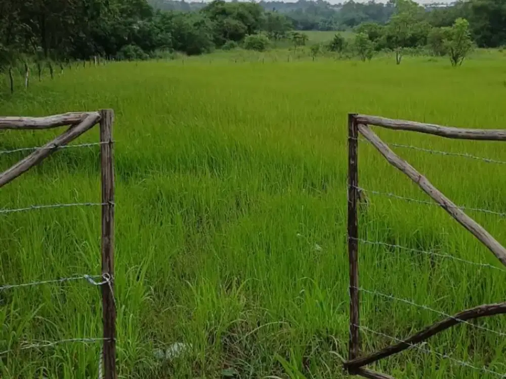 Dijual Tanah Cileles Tigaraksa, LT 4.000 M², Harga : Rp 1,75 M