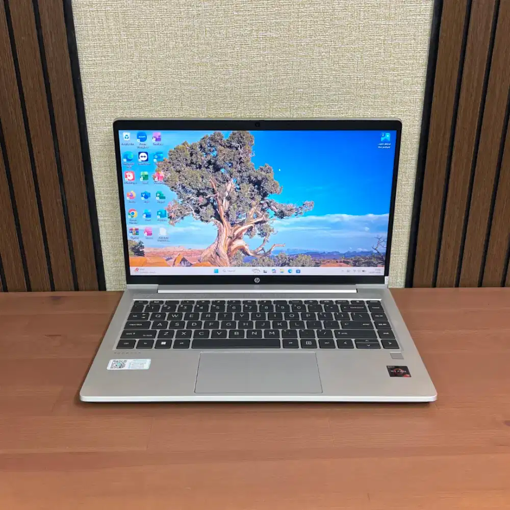 HP Probook 445 G8 | AMD Ryzen 5 5600U