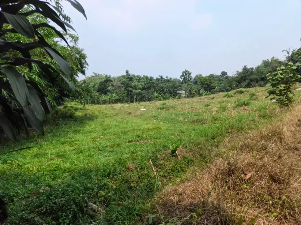 Di jual murah lahan datar dan cocok untuk investasi pemandangan bukit
