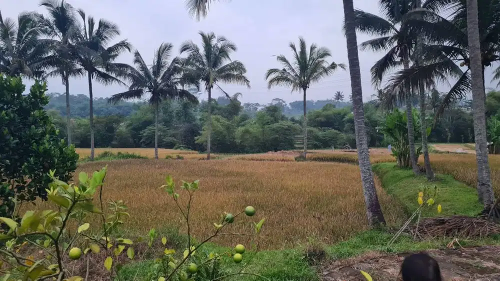 Aset Properti Eksklusif Heritage di Bandung Selatan