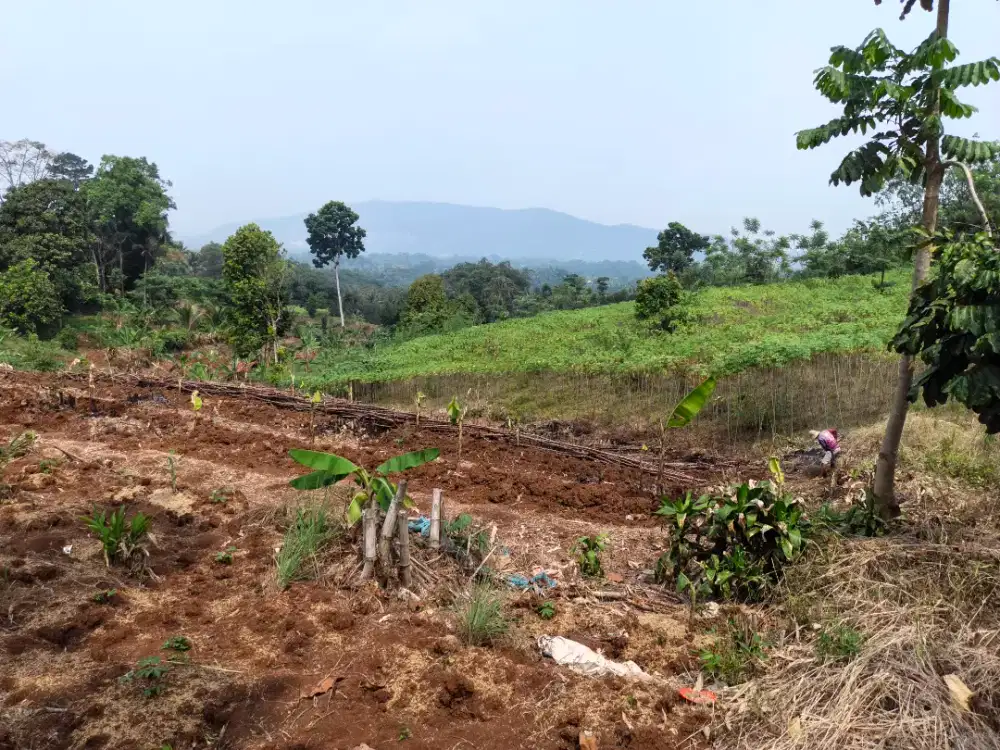 Dijual Tanah murah pemandangan bukit alami