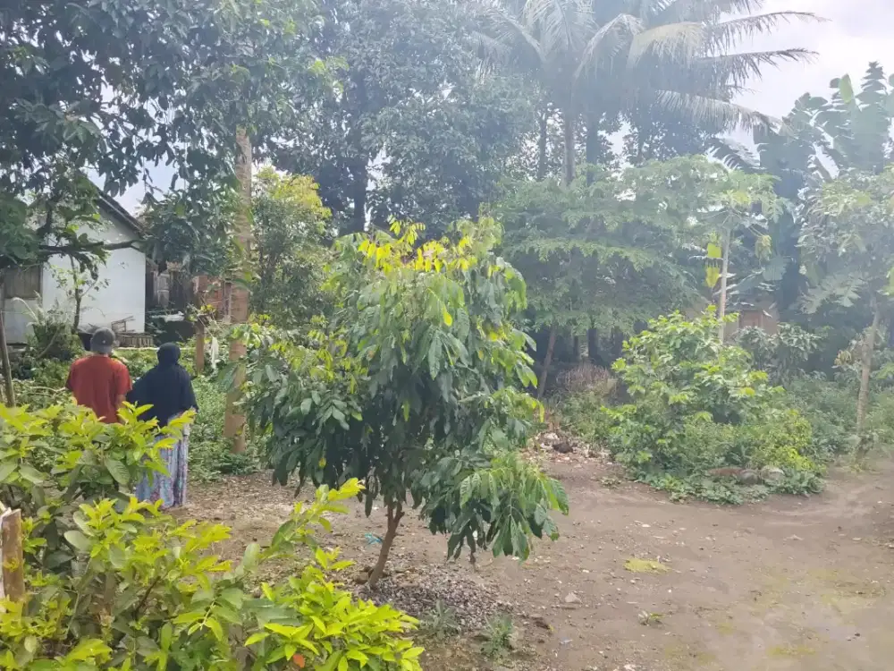Di Jual Tanah Lokasi Strategis 581 M2, SHM