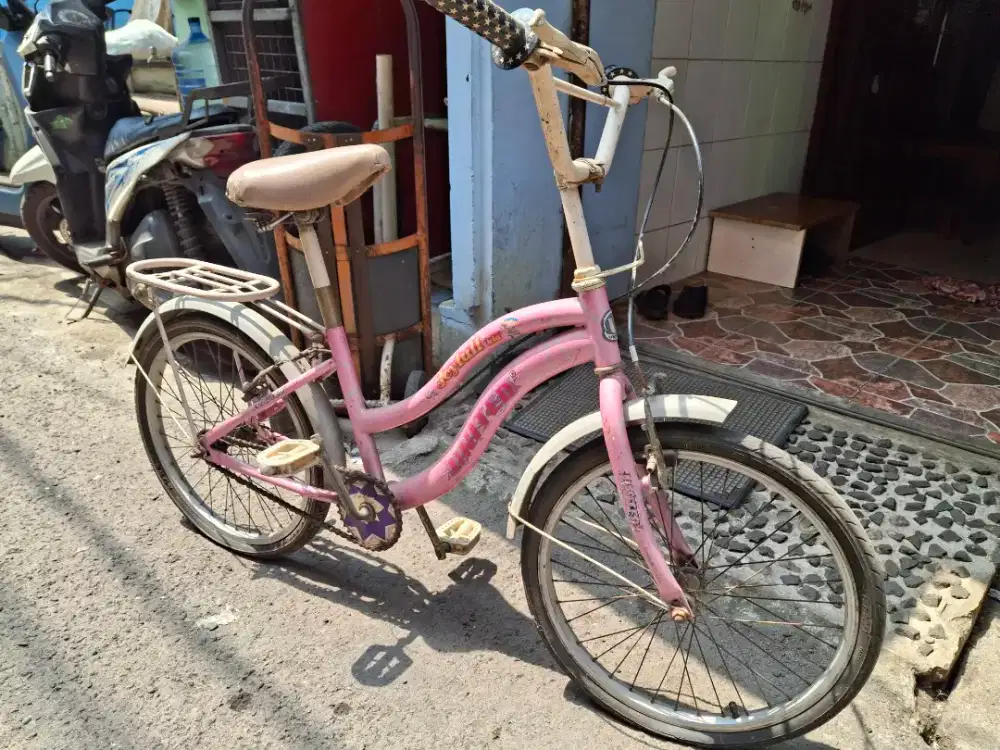 Sepeda United Pink