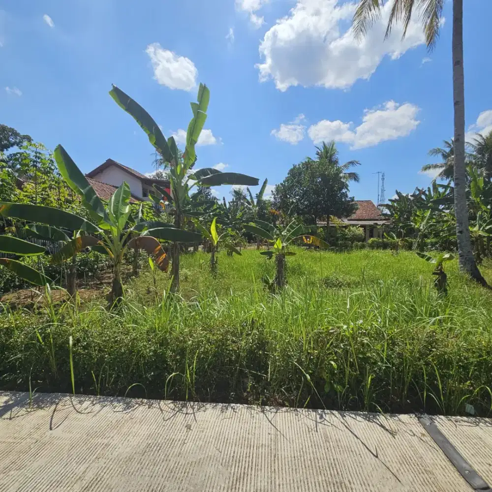 Tanah Dijual di Katerban, Kutoarjo, Jawa Tengah