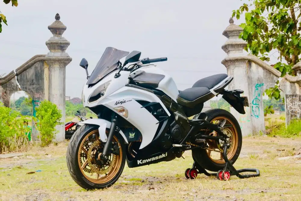 Kawasaki er6f 650 , er6n, KTM Duke390, versys 250