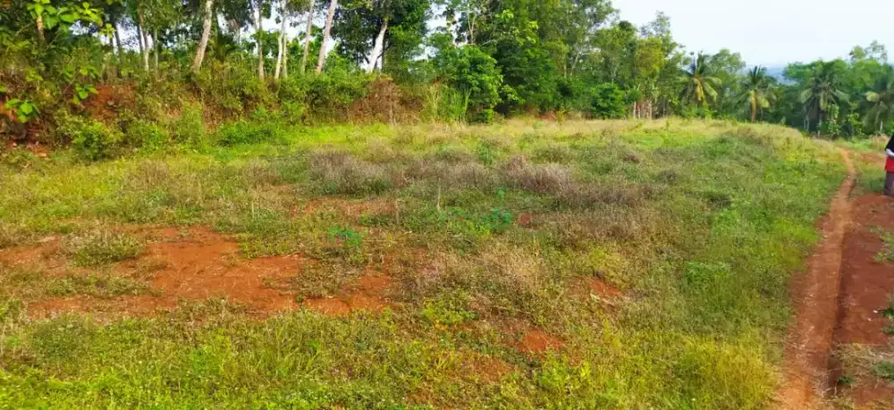 Dijual Tanah Pekarangan sangat cocok untuk perumahan/Industri